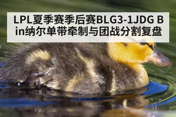 LPL夏季赛季后赛BLG3-1JDG Bin纳尔单带牵制与团战分割复盘