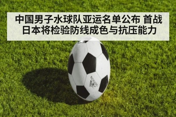 中国男子水球队亚运名单公布 首战日本将检验防线成色与抗压能力