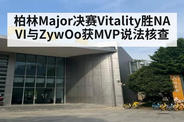 柏林Major决赛Vitality胜NAVI与ZywOo获MVP说法核查